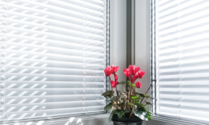 window blinds and shades near me